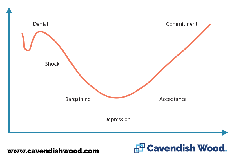 Change Management Process & Frameworks For Driving Real Value From 